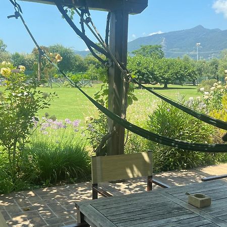 Olimagio Farm Stay With Animals And 25M Pool, Beach At Cycling Distance Pietrasanta Εξωτερικό φωτογραφία