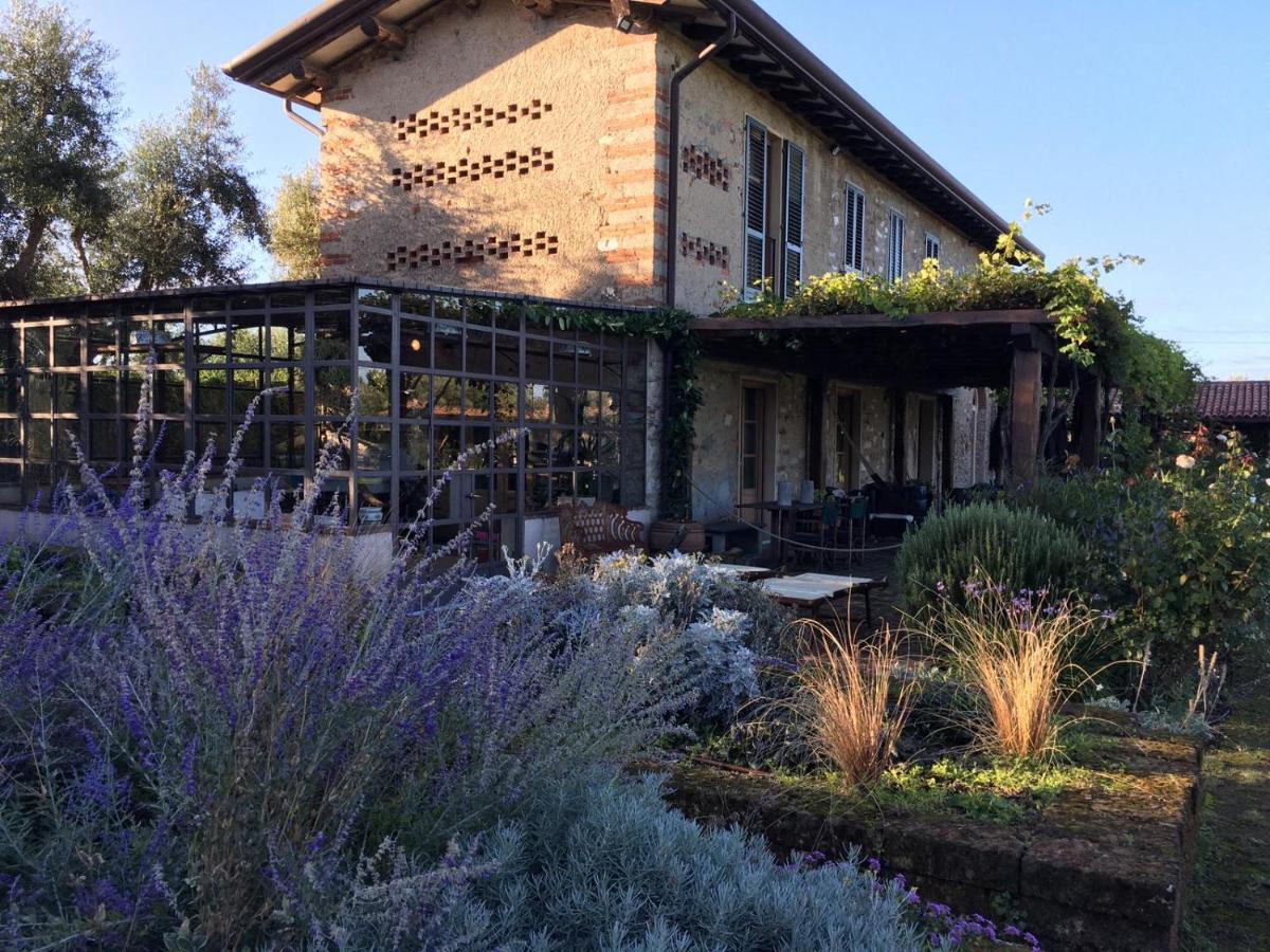 Olimagio Farm Stay With Animals And 25M Pool, Beach At Cycling Distance Pietrasanta Εξωτερικό φωτογραφία