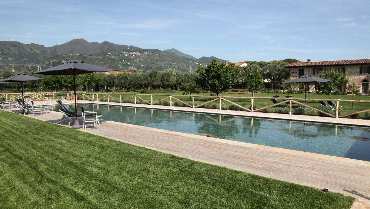 Olimagio Farm Stay With Animals And 25M Pool, Beach At Cycling Distance Pietrasanta Εξωτερικό φωτογραφία