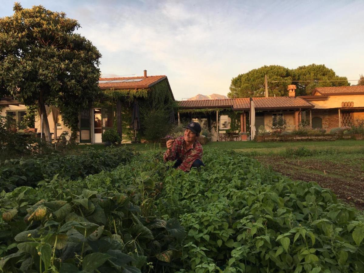 Olimagio Farm Stay With Animals And 25M Pool, Beach At Cycling Distance Pietrasanta Εξωτερικό φωτογραφία