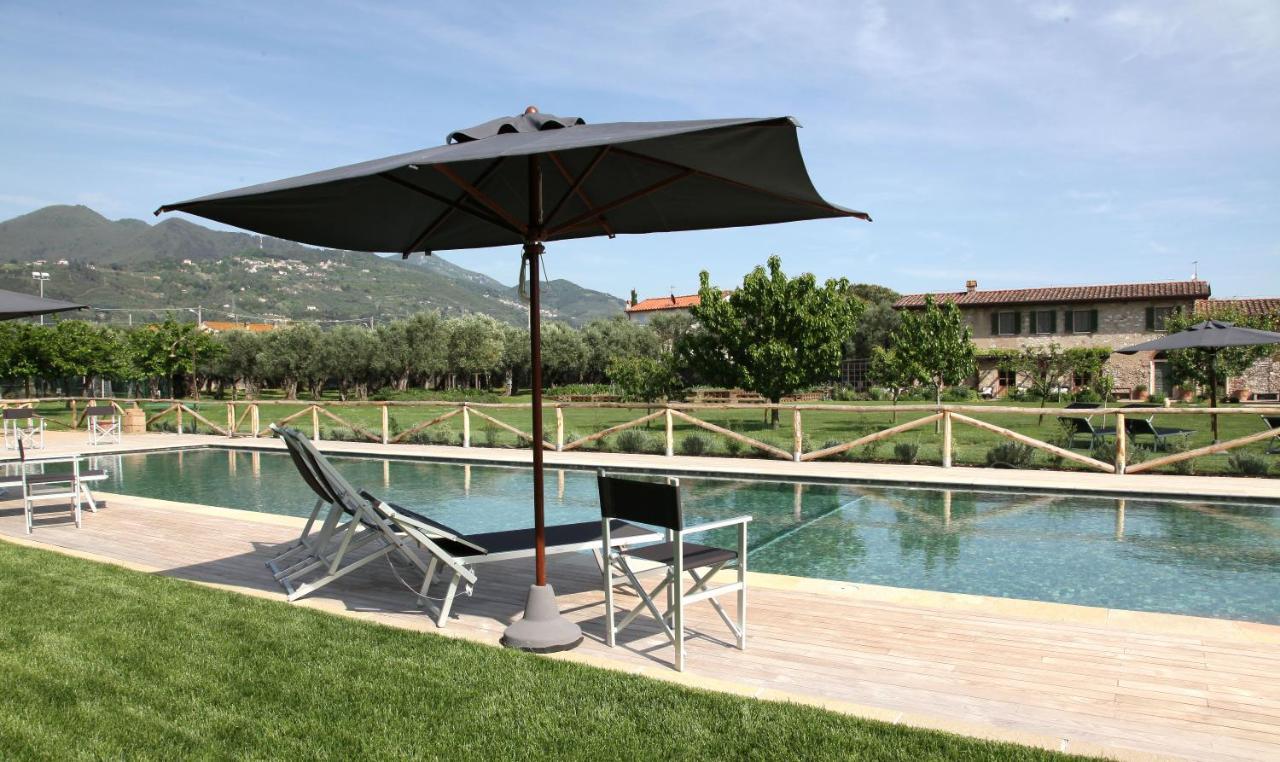 Olimagio Farm Stay With Animals And 25M Pool, Beach At Cycling Distance Pietrasanta Εξωτερικό φωτογραφία