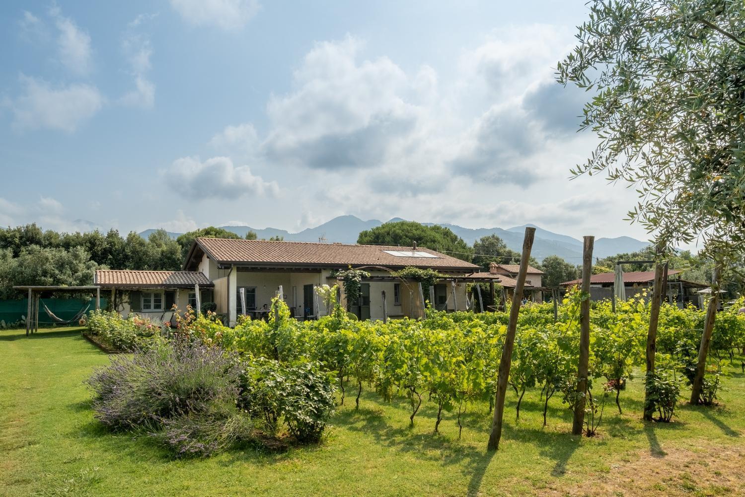 Olimagio Farm Stay With Animals And 25M Pool, Beach At Cycling Distance Pietrasanta Εξωτερικό φωτογραφία
