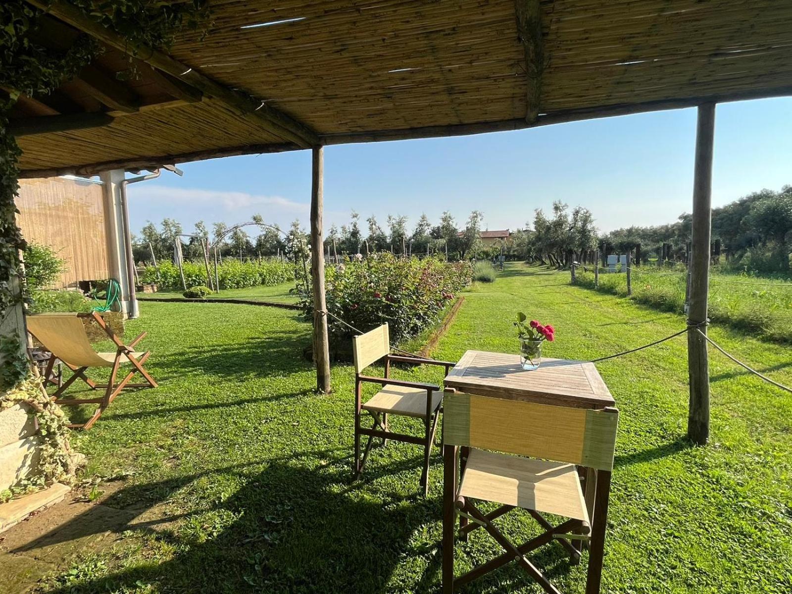 Olimagio Farm Stay With Animals And 25M Pool, Beach At Cycling Distance Pietrasanta Εξωτερικό φωτογραφία